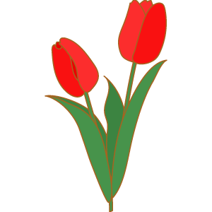 チューリップの花のイラスト