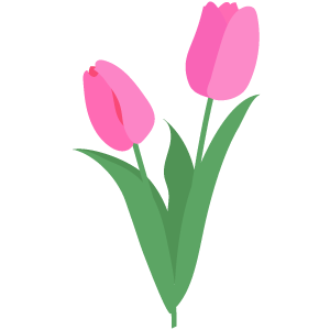 チューリップの花のイラスト