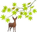 紅葉と鹿のイラスト